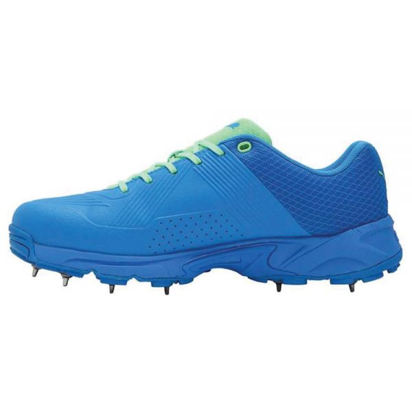 Puma Spike 19.2 Cricket Shoes for Men