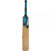 RS Tailor Made English Willow Player Edition Cricket Bat (Short Handle)