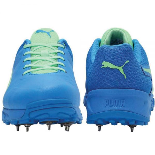 Puma Spike 19.2 Cricket Shoes for Men