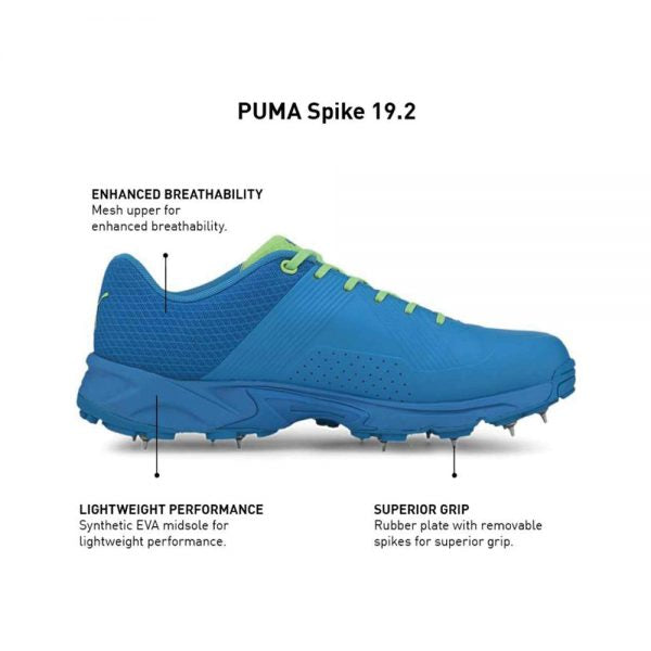 Puma Spike 19.2 Cricket Shoes for Men