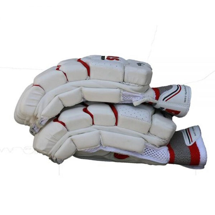 RS Recorder Test Grade Cricket Batting Gloves (RH)