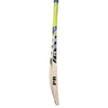 PR Silver English Willow Cricket Bat (Short Handle)
