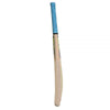 RS Duke of Windsor Kashmir Willow Cricket Bat for Boys (Size -5, Age: 8 - 10)