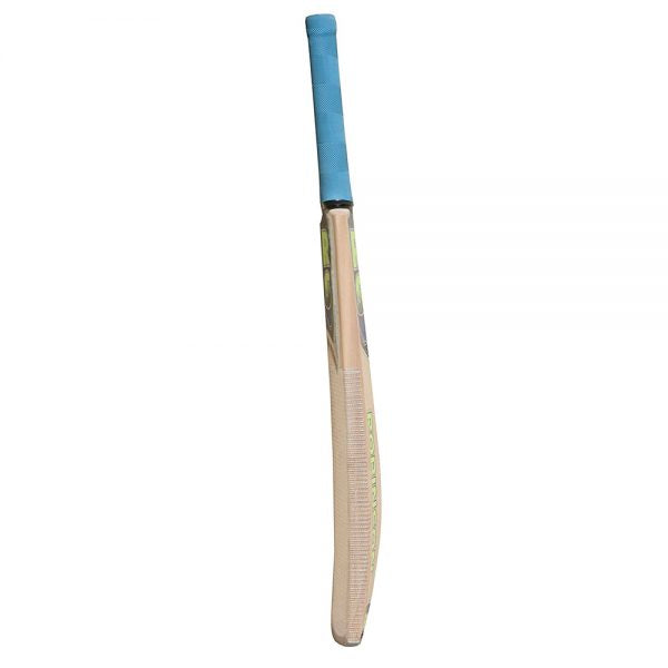 RS Duke of Windsor Kashmir Willow Cricket Bat for Boys (Size -5, Age: 8 - 10)