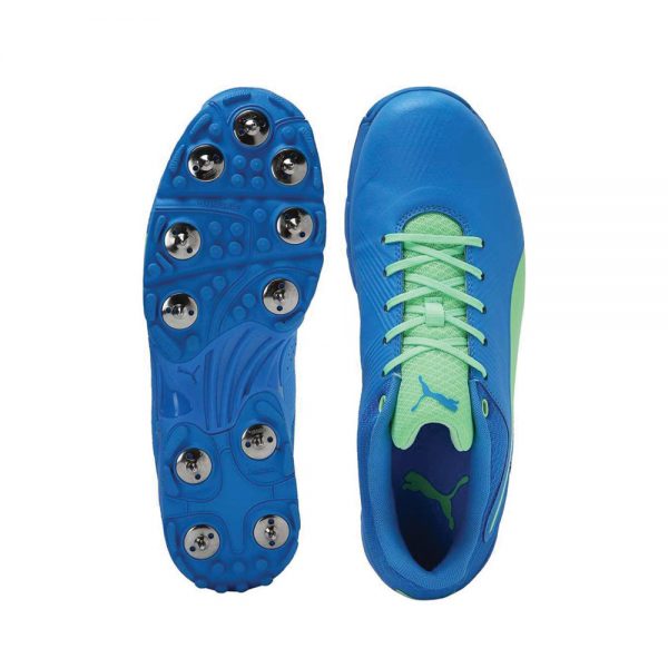 Puma Spike 19.2 Cricket Shoes for Men