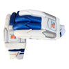 Three wickets professional player batting gloves