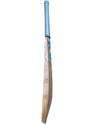 RS  Triumph English Willow Cricket Bat (Short Handle)